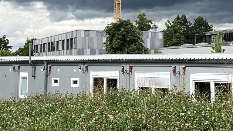 Statement der grünen Fraktion zum Neubau/Interimsbau der Johann-Peter-Hebel-Grundschule